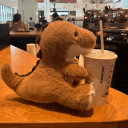 1025373086469595189's Avatar