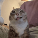 1088586795169624075's Avatar