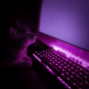 1130770995729416242's Avatar