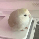 1247938339290484799's Avatar