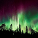 1302008732083027990's Avatar