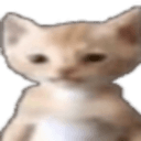 368723511570726912's Avatar