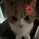 467989044417003530's Avatar