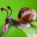 735605115905638411's Avatar