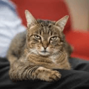 952067150569410600's Avatar